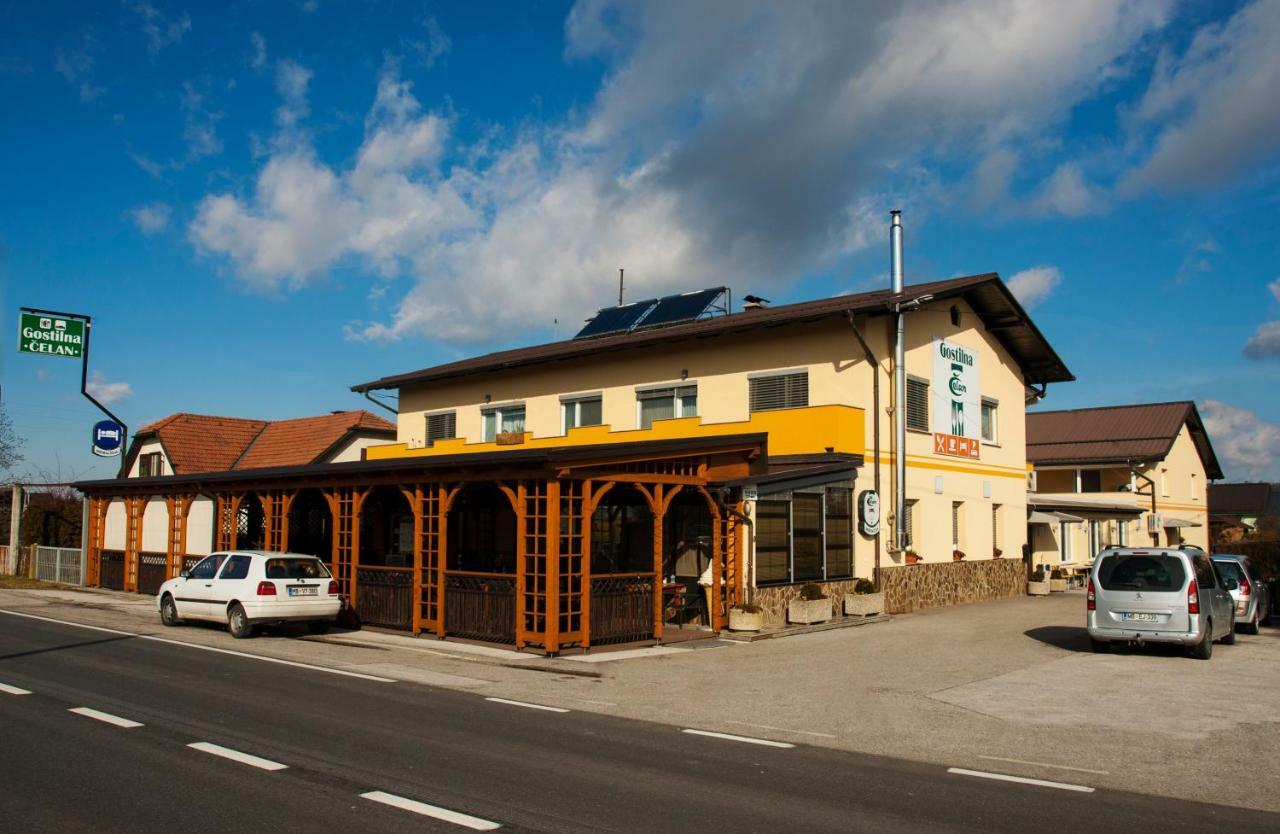 Guest House Celan Spodnja Hajdina 외부 사진