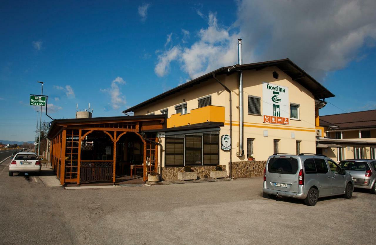 Guest House Celan Spodnja Hajdina 외부 사진